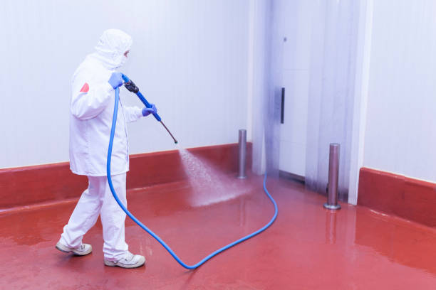 Trusted Joplin, MO Pressure Washing Services Experts
