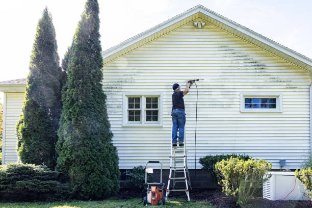 Best Driveway Cleaning and Restoration in Joplin, MO